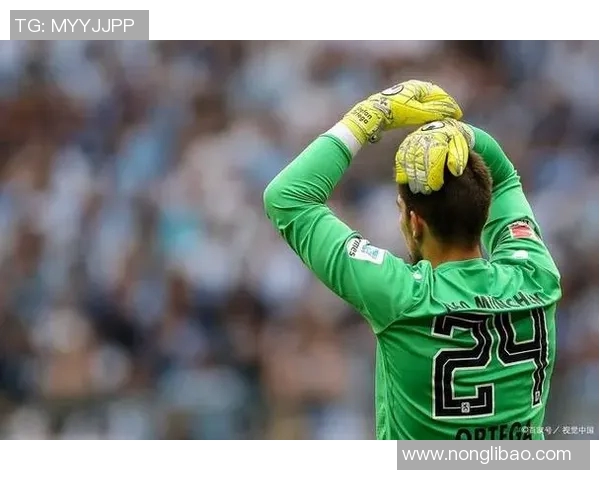 汉堡主场险胜波鸿，实现胜利保持势头